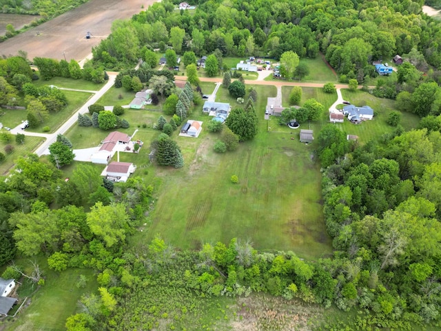 10040 S Reese Rd, Birch Run, MI 48415 - aerial view