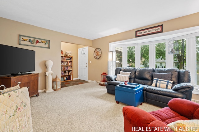 38 W 31st St, Holland, MI 49423 - carpeted living room featuring healthy amount of natural light and baseboards
