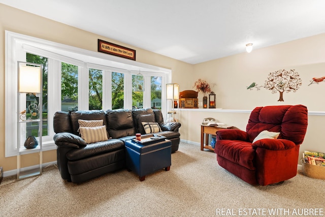 38 W 31st St, Holland, MI 49423 - living area featuring carpet flooring, plenty of natural light, and baseboards