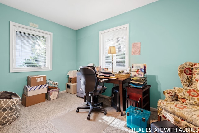 38 W 31st St, Holland, MI 49423 - carpeted office with baseboards