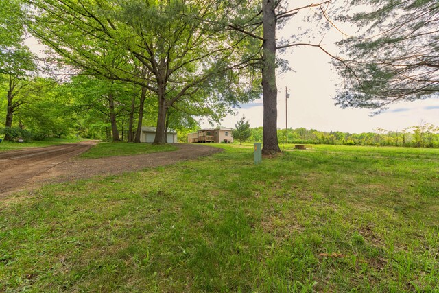 3687 111th Ave, Allegan, MI 49010 - view of yard