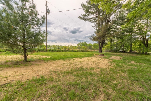 3687 111th Ave, Allegan, MI 49010 - view of yard