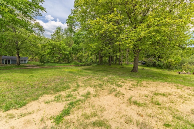 3687 111th Ave, Allegan, MI 49010 - view of yard featuring a view of trees