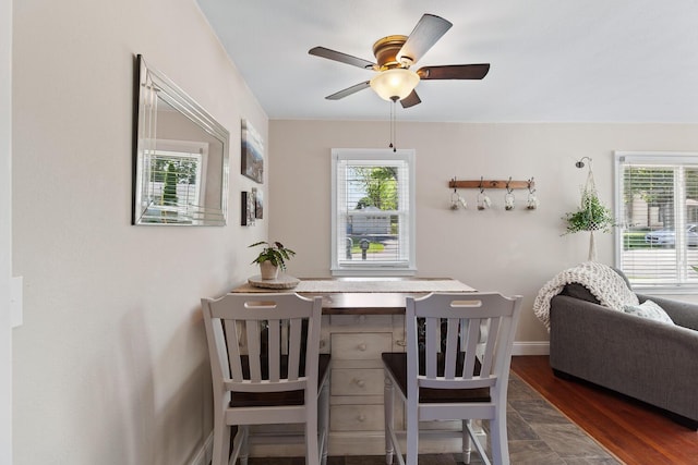 113 Greenleaf St, Onsted, MI 49265 - dining room featuring plenty of natural light, a ceiling fan, and wood finished floors
