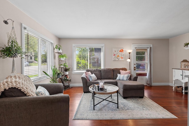 113 Greenleaf St, Onsted, MI 49265 - living room with wood finished floors and baseboards