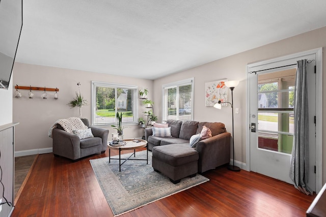 113 Greenleaf St, Onsted, MI 49265 - living area with plenty of natural light, dark wood-style floors, and baseboards
