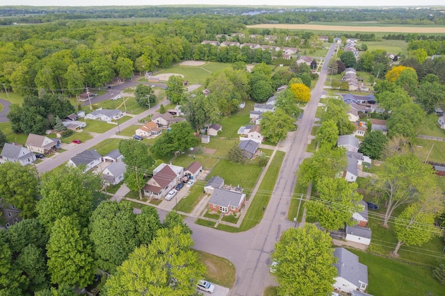 113 Greenleaf St, Onsted, MI 49265 - aerial perspective of suburban area