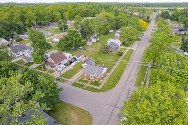 113 Greenleaf St, Onsted, MI 49265 - aerial perspective of suburban area