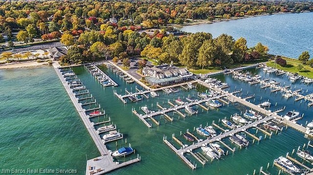 480 Fisher Rd, Grosse Pointe Farms, MI 48230 - drone / aerial view of numerous boat docks and a large body of water