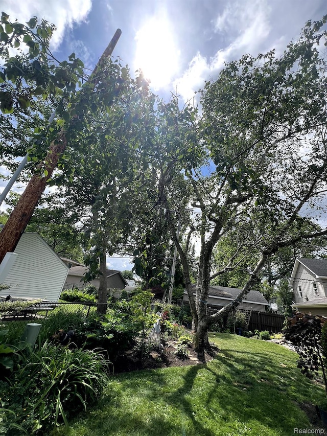 717 W 12 Mile Rd, Royal Oak, MI 48073 - view of yard