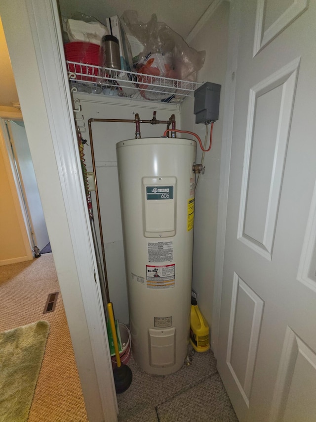 1352 Haughey Dr, Union City, MI 49094 - utilities with water heater