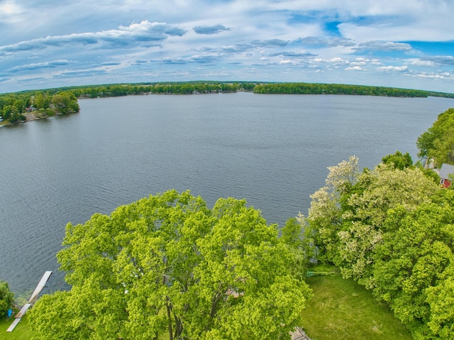 1352 Haughey Dr, Union City, MI 49094 - water view
