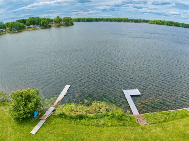 1352 Haughey Dr, Union City, MI 49094 - bird's eye view of a large body of water