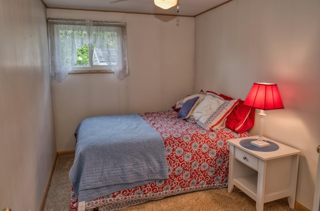 1352 Haughey Dr, Union City, MI 49094 - view of carpeted bedroom