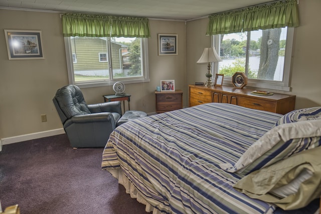 1352 Haughey Dr, Union City, MI 49094 - bedroom with dark carpet, crown molding, and baseboards