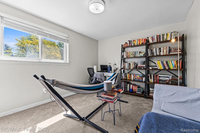 7485 Pointe Dr, Canton, MI 48187 - carpeted home office with baseboards