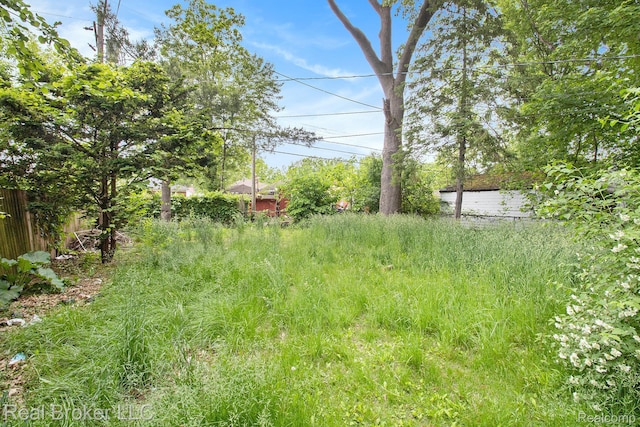 19455 Houghton St, Detroit, MI 48219 - view of yard