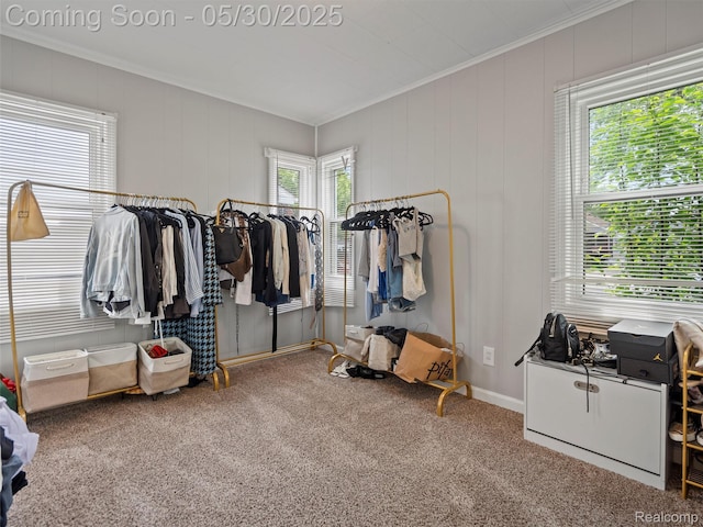 26066 Dartmouth St, Royal Oak, MI 48071 - walk in closet featuring carpet floors