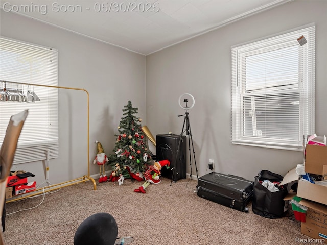 26066 Dartmouth St, Royal Oak, MI 48071 - game room featuring carpet and ornamental molding