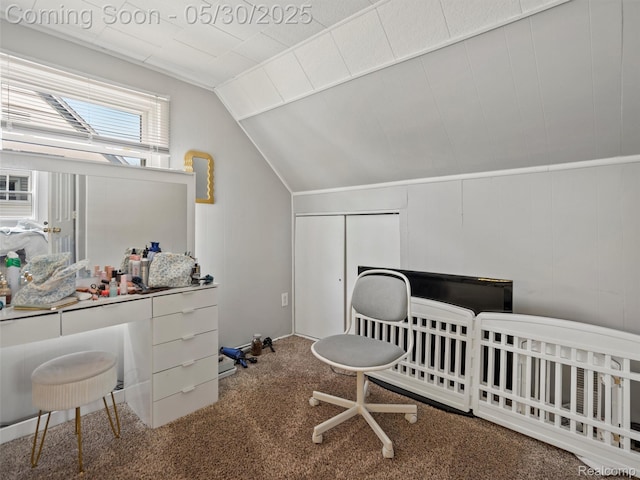 26066 Dartmouth St, Royal Oak, MI 48071 - carpeted bedroom featuring lofted ceiling, a nursery area, and a closet