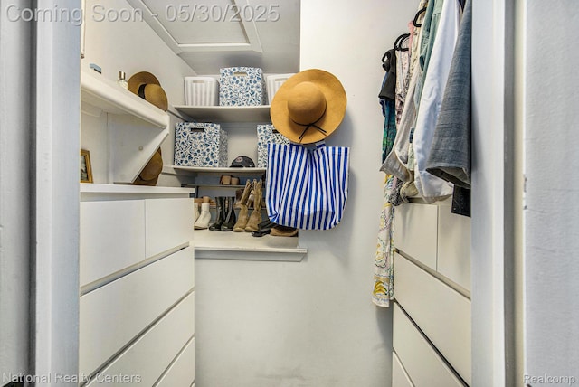 44947 Partridge Dr, Plymouth, MI 48170 - walk in closet with attic access