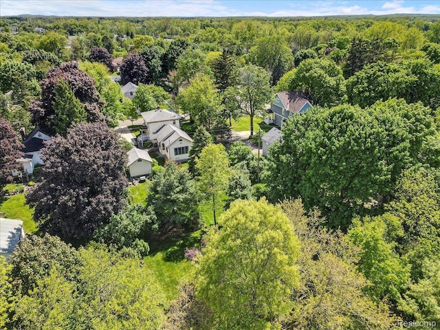 91 Dennison St, Oxford, MI 48371 - bird's eye view of a forest
