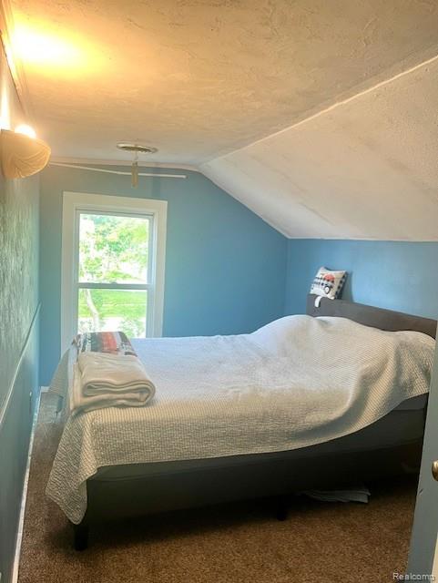 203 S Main St, Capac, MI 48014 - carpeted bedroom featuring vaulted ceiling and a textured ceiling