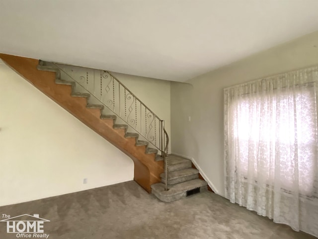 2437 S State Rd, Corunna, MI 48817 - stairs with carpet floors