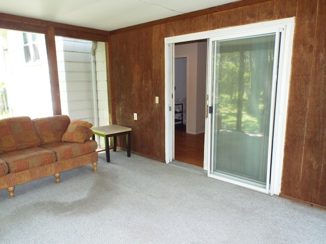 407 Doty St, Leslie, MI 49251 - living area featuring carpet flooring and wood walls