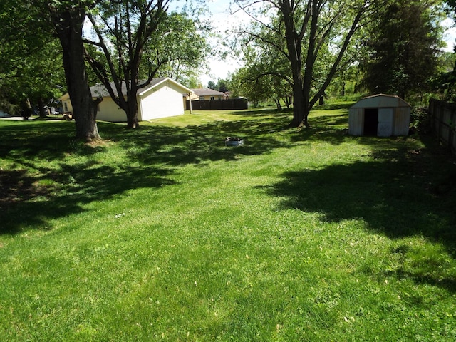 407 Doty St, Leslie, MI 49251 - view of yard