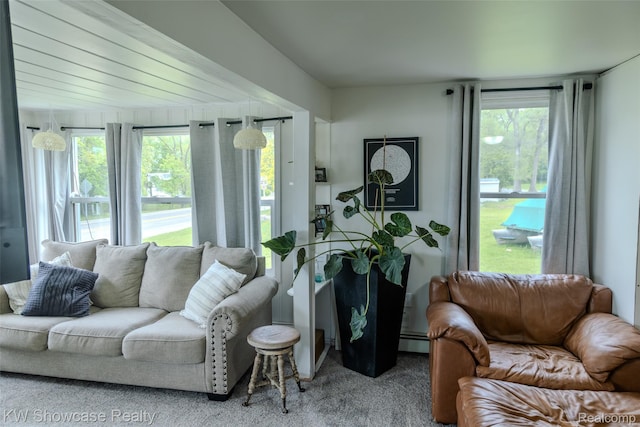 1815 E Lake Dr, Novi, MI 48377 - photo 26