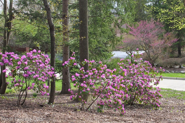 4017 Hidden Woods, Bloomfield Hills, MI 48301 - view of home's community