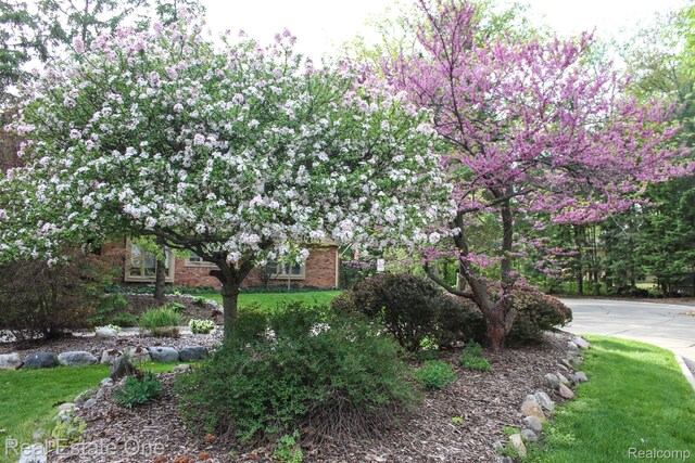 4017 Hidden Woods, Bloomfield Hills, MI 48301 - view of front of property with brick siding and a front lawn