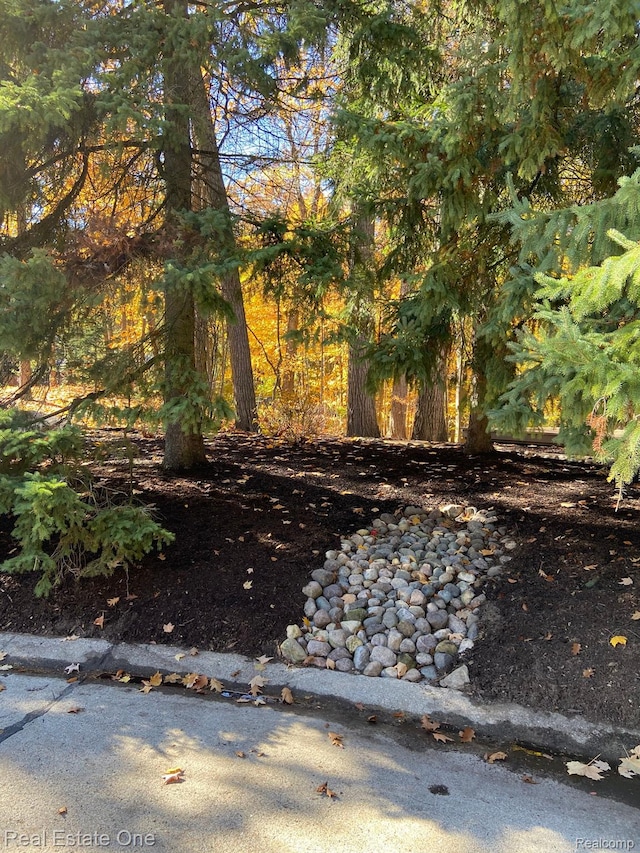4017 Hidden Woods, Bloomfield Hills, MI 48301 - view of yard
