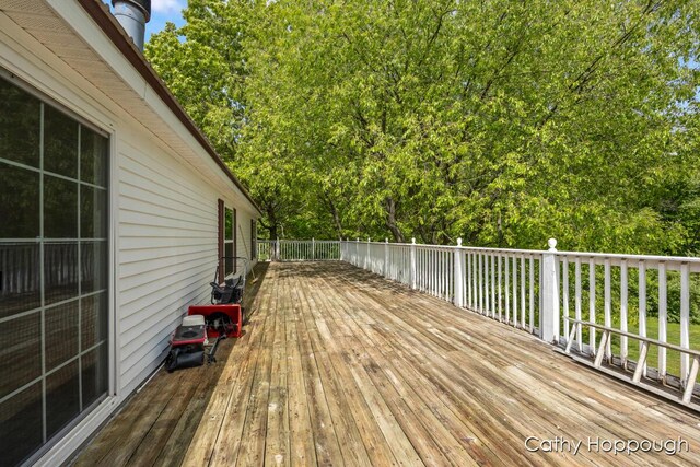 3079 E Bluewater Hwy, Ionia, MI 48846 - view of wooden terrace