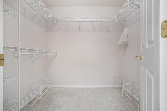 714 N Hawley Dr, Coldwater, MI 49036 - walk in closet featuring carpet flooring