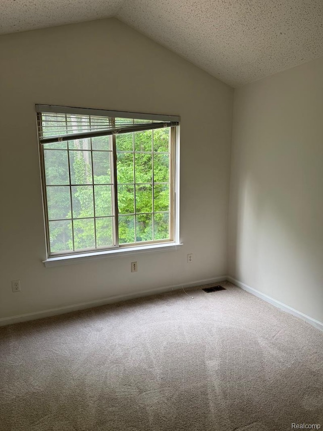 5717 Villa France Ave, Ann Arbor, MI 48103 - photo 20
