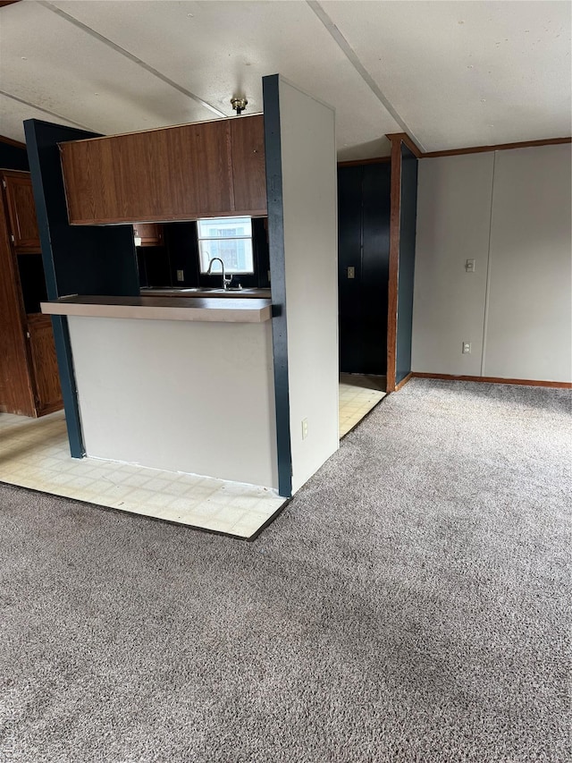 2445 E Grand River Rd, Lot, Williamston, MI 48895 - kitchen featuring light colored carpet, a sink, and brown cabinets