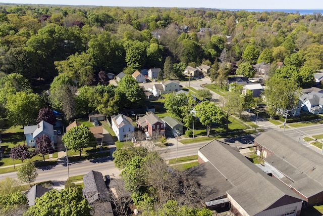 513 1st St, Manistee, MI 49660 - aerial perspective of suburban area featuring a heavily wooded area