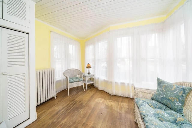 724 Wilson St, South Haven, MI 49090 - sunroom / solarium featuring radiator and healthy amount of natural light
