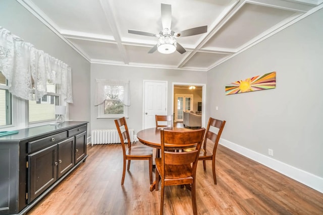 724 Wilson St, South Haven, MI 49090 - dining space featuring coffered ceiling, radiator heating unit, light wood-type flooring, ceiling fan, and baseboards