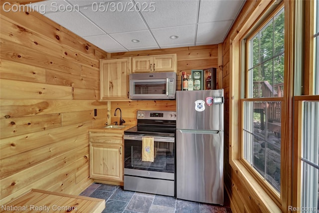 5257 Brookshire Dr, Almont, MI 48003 - kitchen with appliances with stainless steel finishes, wood walls, a sink, light brown cabinets, and dark stone finish flooring