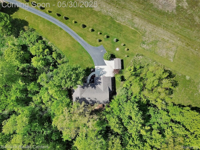 5257 Brookshire Dr, Almont, MI 48003 - drone / aerial view