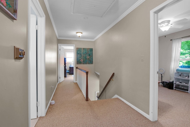 1330 Kings Carriage Rd, Grand Blanc, MI 48439 - hallway with an upstairs landing, light carpet, healthy amount of natural light, baseboards, and crown molding