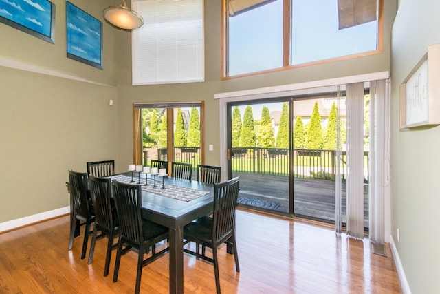 3007 Cedarbrook Rd, Ann Arbor, MI 48105 - dining area featuring a towering ceiling, wood finished floors, and baseboards