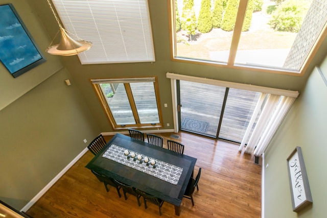 3007 Cedarbrook Rd, Ann Arbor, MI 48105 - dining area featuring wood finished floors, baseboards, and a high ceiling