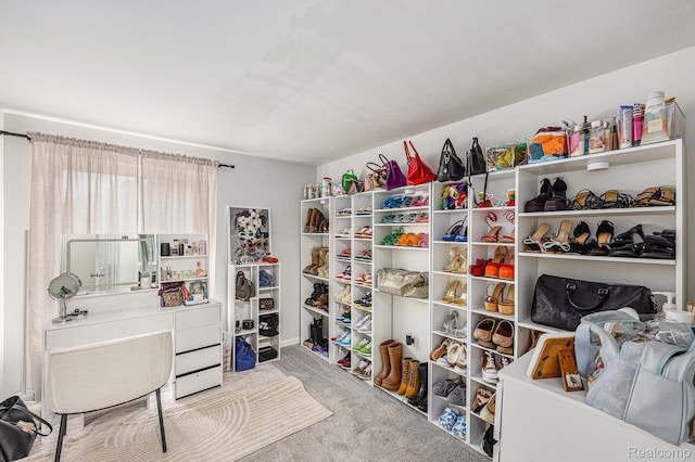 34354 Crosley St, Clinton Township, MI 48035 - spacious closet with carpet flooring