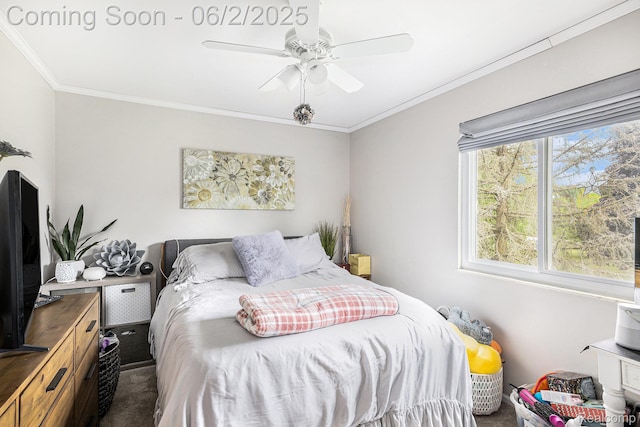 7453 Baldwin Rd, Swartz Creek, MI 48473 - carpeted bedroom with crown molding and a ceiling fan