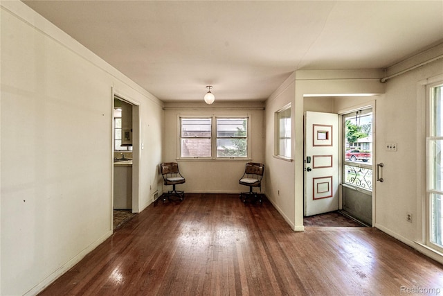 1019 Symes Ct, Royal Oak, MI 48067 - entryway featuring wood finished floors, healthy amount of natural light, and baseboards