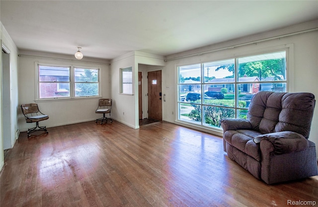 1019 Symes Ct, Royal Oak, MI 48067 - living area featuring wood finished floors and baseboards